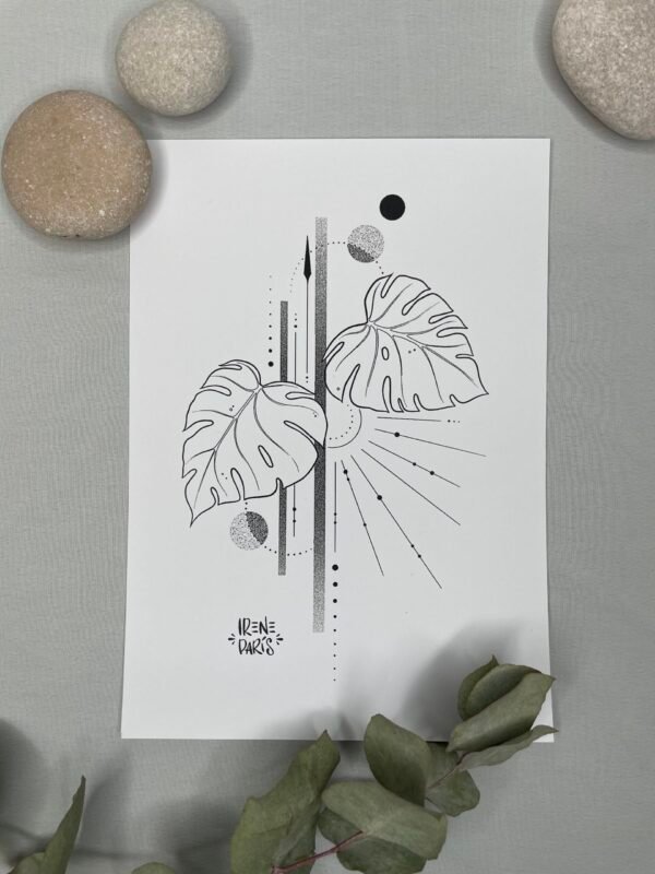 Lámina monstera
